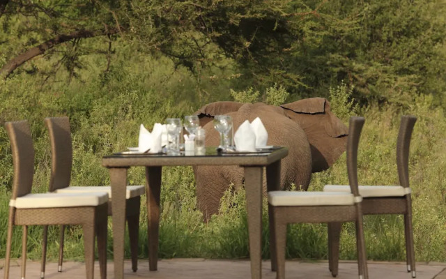 Spirit Of The Masai Mara