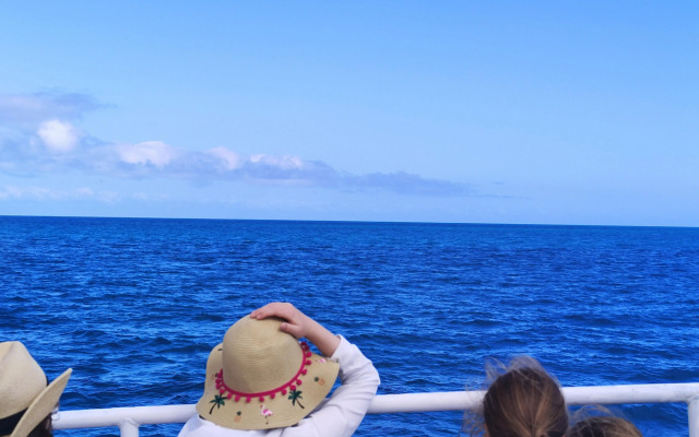 Best Western Ambassador Motor Lodge