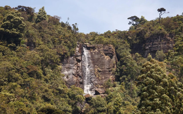 Pedro Resort Nuwara Eliya