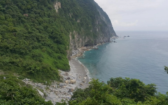 Hualien Pine
