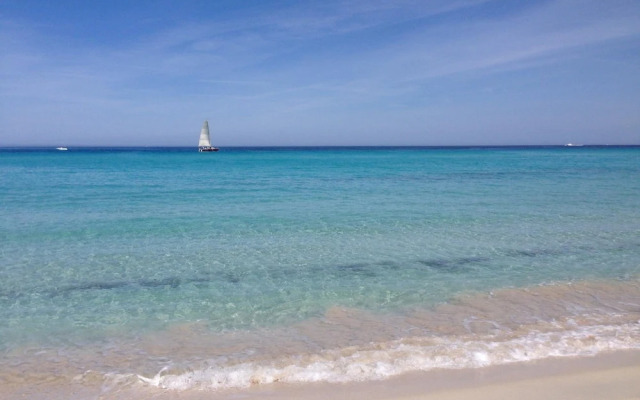 Appartement T3 Luccia Proche Saint Florent