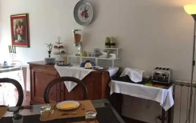 BB Casa Tomato