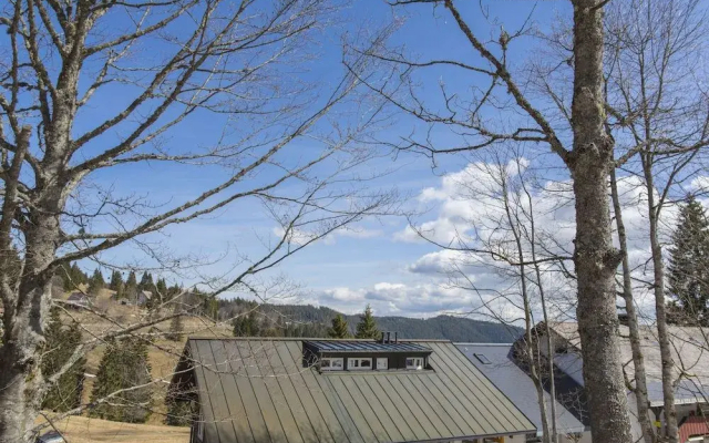 Kuckucksnester Feldberg