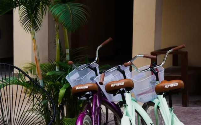 Macondo Raíz Holbox