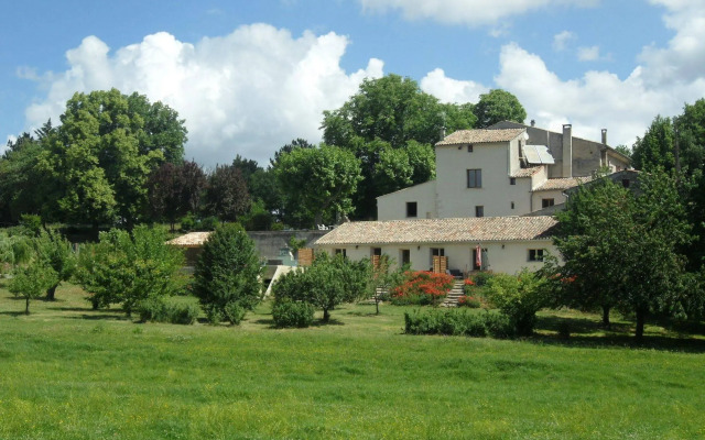 Les Ânes de Forcalquier