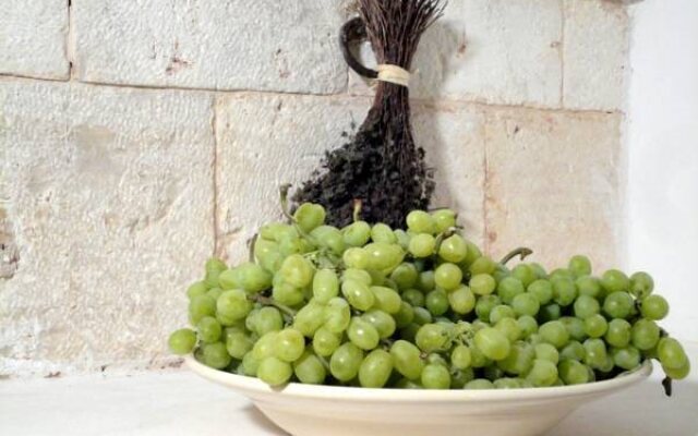 Tenuta Pinto