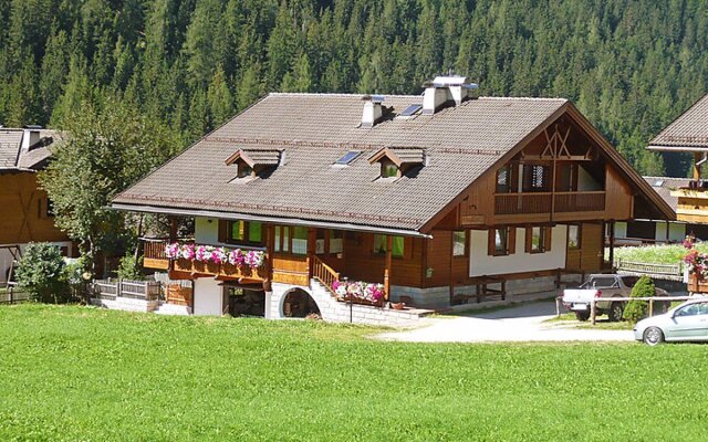 Cesa Galaldriel 29973