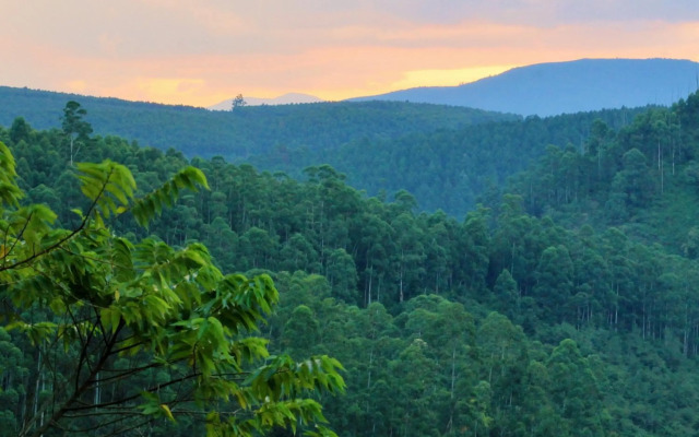 Tanamera Lodge