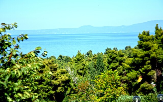 Seaview Studios