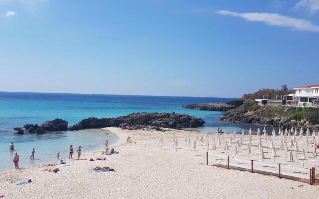 Aragonese 73