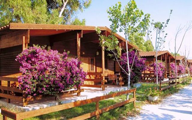 Camping 5 Stelle Villaggio