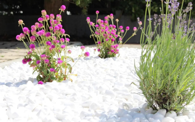 White Stone Apartman