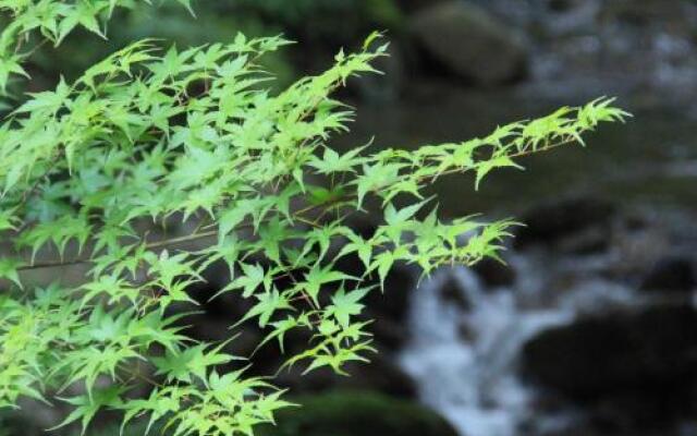 Iwasu Onsen Ryokan Iwasuso