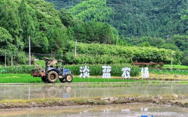 Xianju Yundandan Tianlanlan Homestay