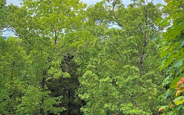 The Park at Foxborough