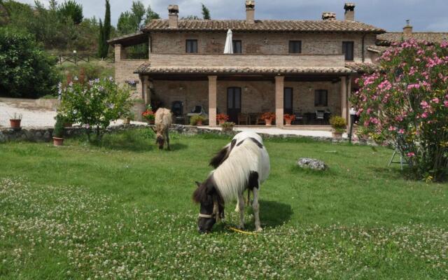 Farm Stay Il Carro del Colle