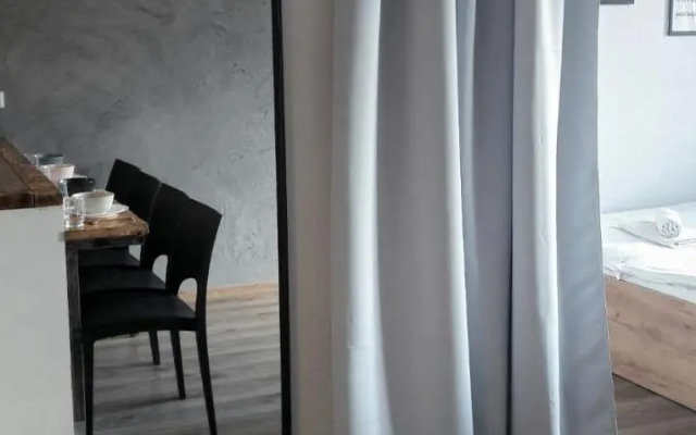 Silver Apartment in Wilanów