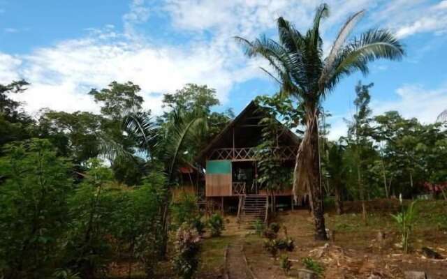 Amazon Lodge Tambopata