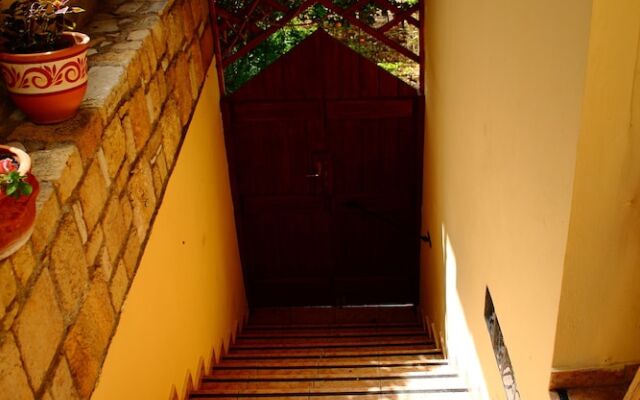 Kaktos