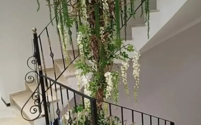 Oxygen Boutique Hotel