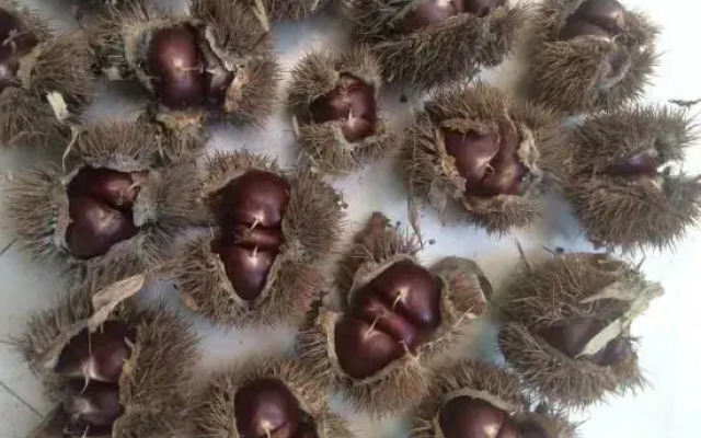 Tiantai Happiness Inn