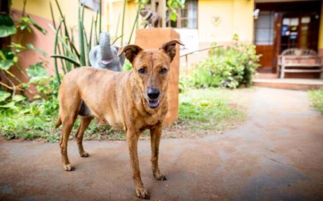 Ku-Boboyi River Lodge