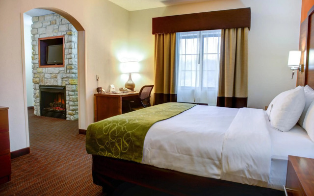 Comfort Suites Stevensville - St. Joseph