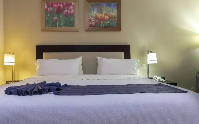 Excellence Express & Suites