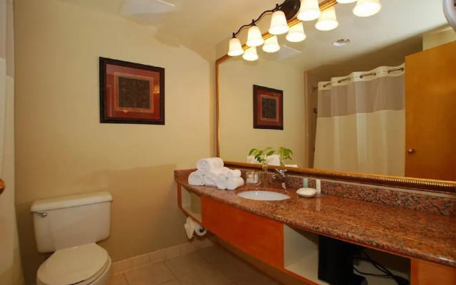 Comfort Inn At Shady Grove