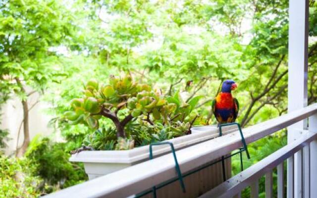 Treetop Retreat Five Minute Stroll To The Beach