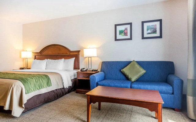 Comfort Inn & Suites