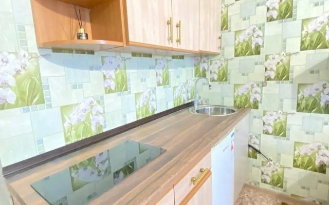 Апартаменты на бульваре Химиков 7/4