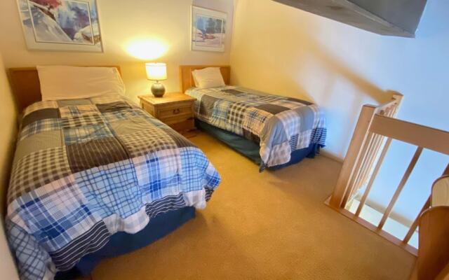 #310 Vail International