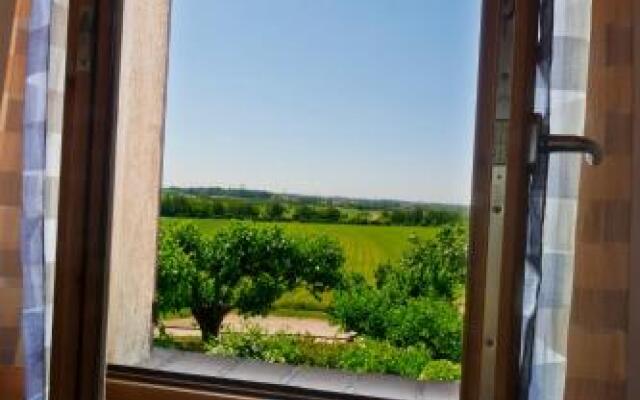 Borgo San Donino