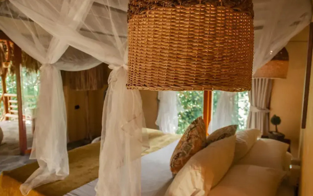 Ecoxata - Adults Only