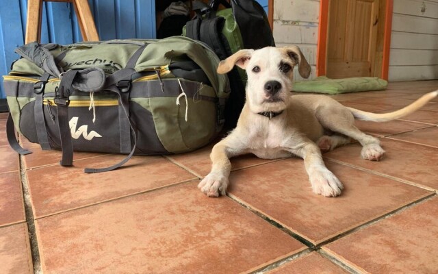 Spanish by the Sea - Bocas - Hostel