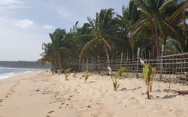 Calypso Surf and Dive