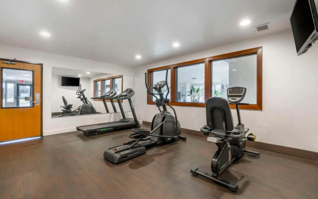 Comfort Inn & Suites Redwood Country