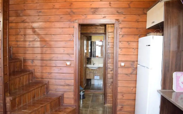 Zahi Bungalov