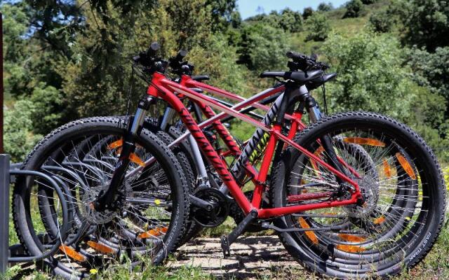 Encosta do Sobreiro - Serra da Estrela