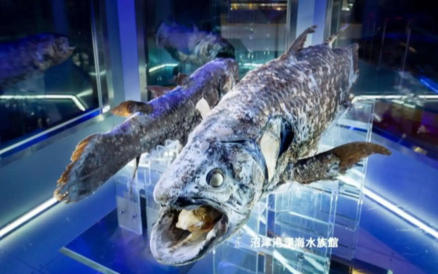 Numazu - House - Vacation STAY 59955v