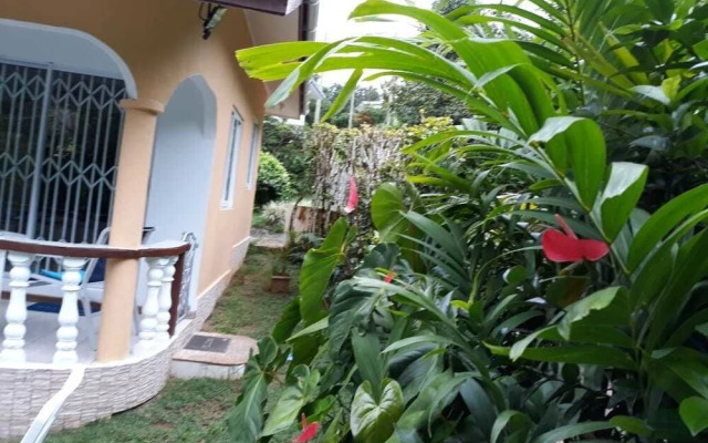 Tropical Garden Self Catering