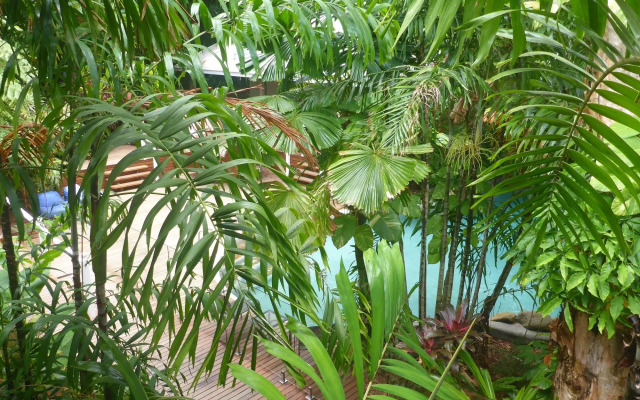 Palm Cove Tropic Apartments