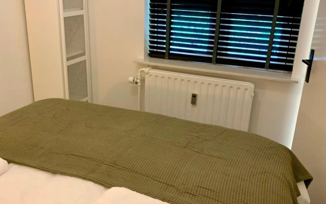 Wilde Moeflon, geniet van de vrije natuur!