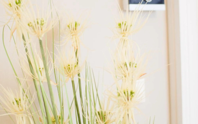 Studio Apartments Naschmarkt