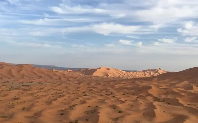 Desert Queen Camp