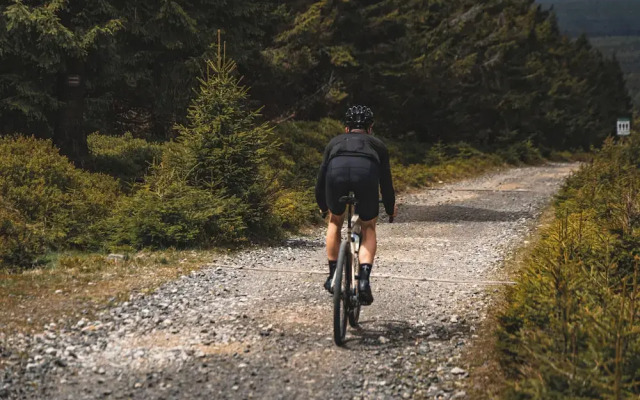 Forest Park Resort & SPA