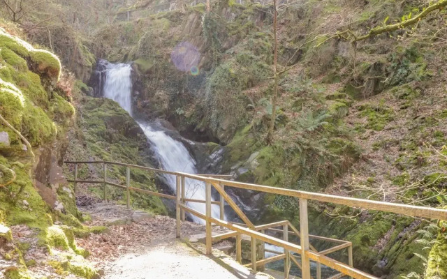 Dolgoch