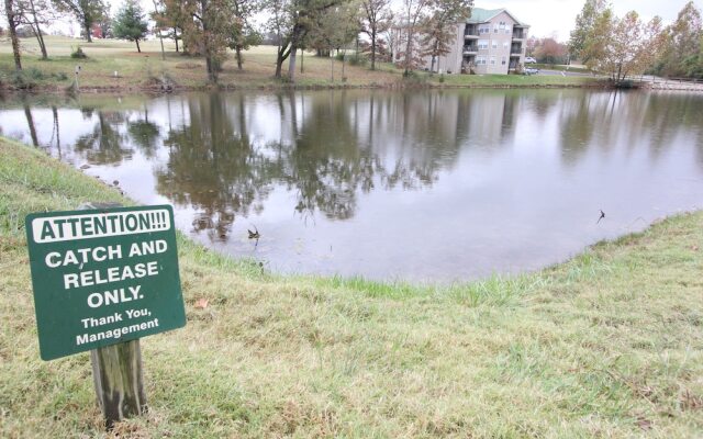 Holiday Hideaway by RedAwning