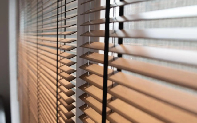 Palmes.pirmas.sezonas